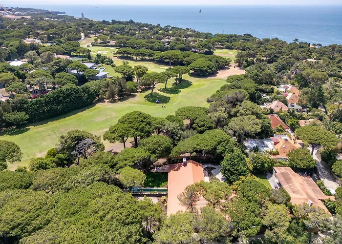 Havenwood By Cadenzalux *