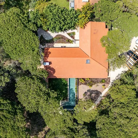 Havenwood By Cadenzalux *