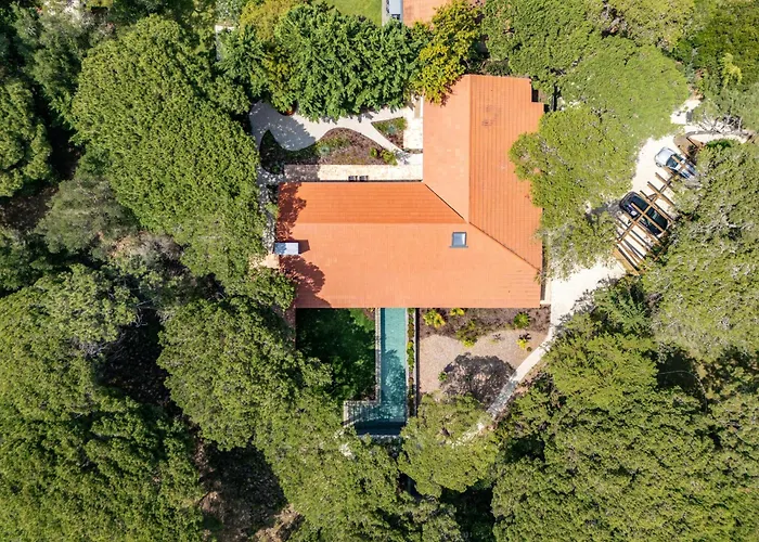 Havenwood By Cadenzalux *